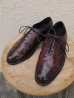 画像1: 送料無料！FLORSHEIM フローシャイム designer collection ウイングチップ ドレスシューズ (1)