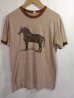 画像1: USA 70s Vintage Hanes Horse リンガー トリム Tシャツ 馬 (1)