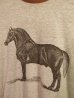 画像2: USA 70s Vintage Hanes Horse リンガー トリム Tシャツ 馬 (2)