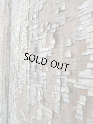 画像8: ＵＳＡ輸入 VINTAGE ビンテージ WOOD DOOR ウッドドア 木扉