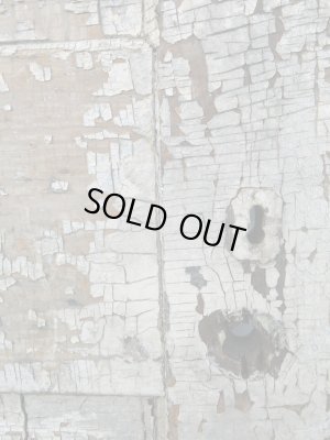 画像4: ＵＳＡ輸入 VINTAGE ビンテージ WOOD DOOR ウッドドア 木扉