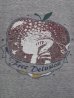 画像3: ＳＡＬＥ！定価￥７１４０→￥５７００！ 送料込み！ Gypsy & sons S/S-T Apple 杢グレー (3)