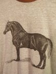 画像2: USA 70s Vintage Hanes Horse リンガー トリム Tシャツ 馬